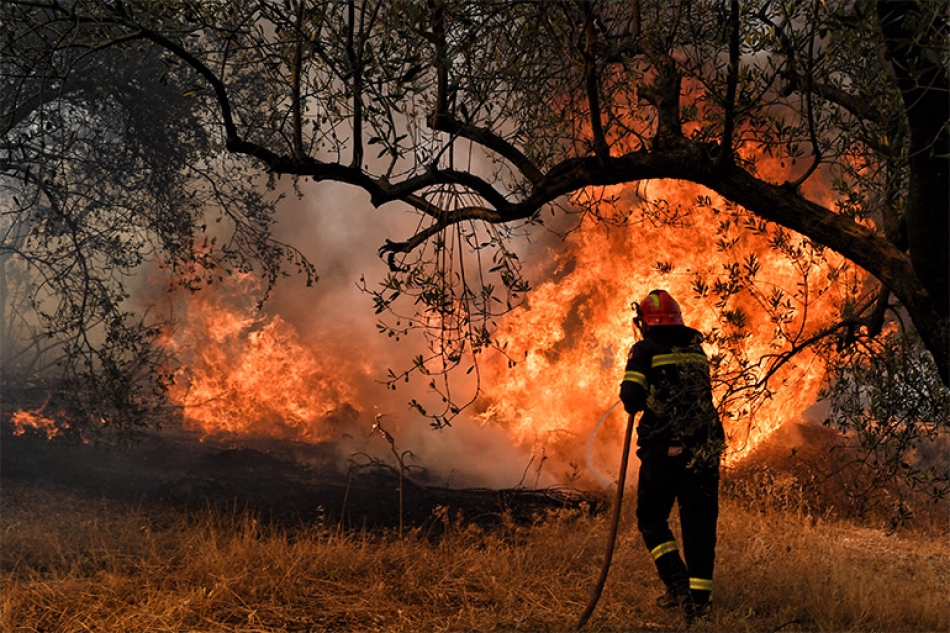 Μεγάλη δασική πυρκαγιά βρίσκεται σε εξέλιξη στη Στιμάγκα Κορινθίας