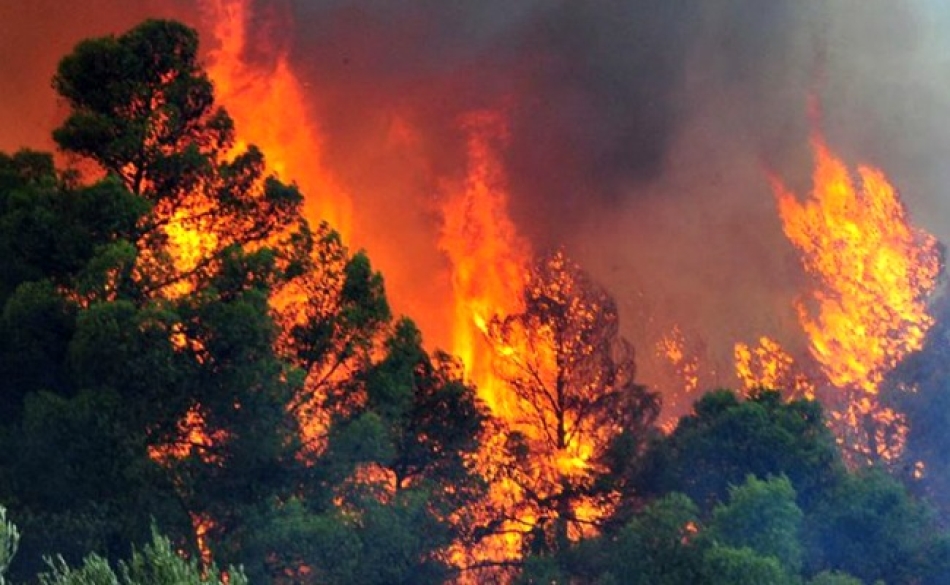 Μεγάλη φωτιά στην Ηλεία - Μήνυμα από το 112 για εκκένωση οικισμών