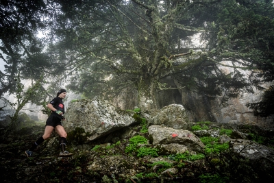 Artemisio Mountain Running - Ένας υποδειγματικός και άριστα οργανωμένος αγώνας, που διαφημίζει με τον καλύτερο τρόπο την Αργολίδα