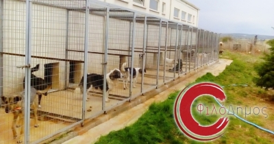Δήμος Ανατολικής Μάνης: Κατασκευή καταφυγίου για αδέσποτα ζώα συντροφιάς