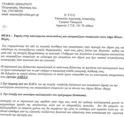 Άμεσα την έναρξη υποβολής δηλώσεων και εκτιμήσεων ζημιών από τον ΕΛΓΑ στις καλλιέργειες σουλτανίνας ζητά με επιστολή ο Δήμαρχος Βέλου Βόχας