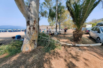 Τραυματισμός λουόμενου στην Καραθώνα Ναυπλίου από πτώση μεγάλης κλάρας δέντρου (vid)
