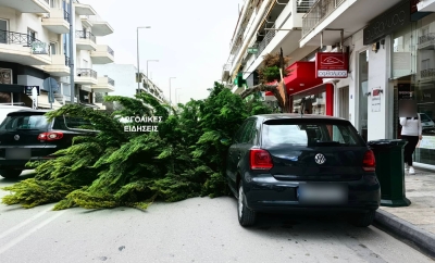 Πτώση δέντρου πάνω σε σταθμευμένα οχήματα στο Ναύπλιο (pics)